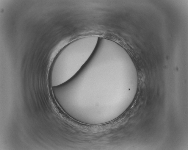 X0000072520006200607140949