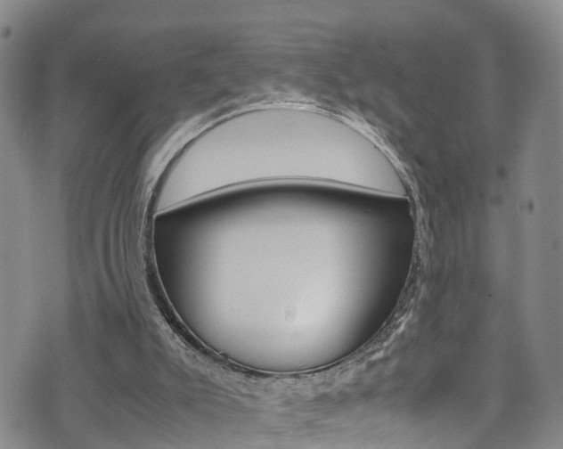 X0000072520007200607140949