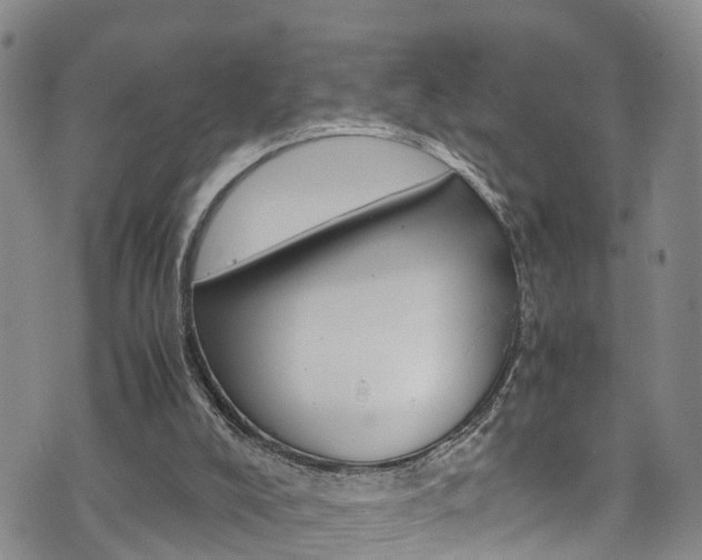 X0000072520008200607140949