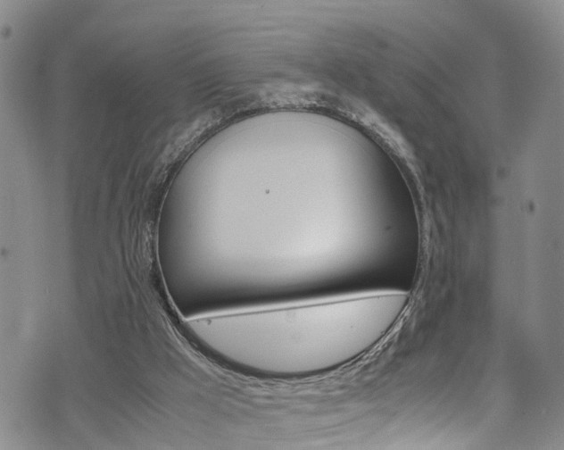 X0000072520009200607140949