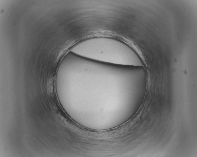 X0000072520010200607140949