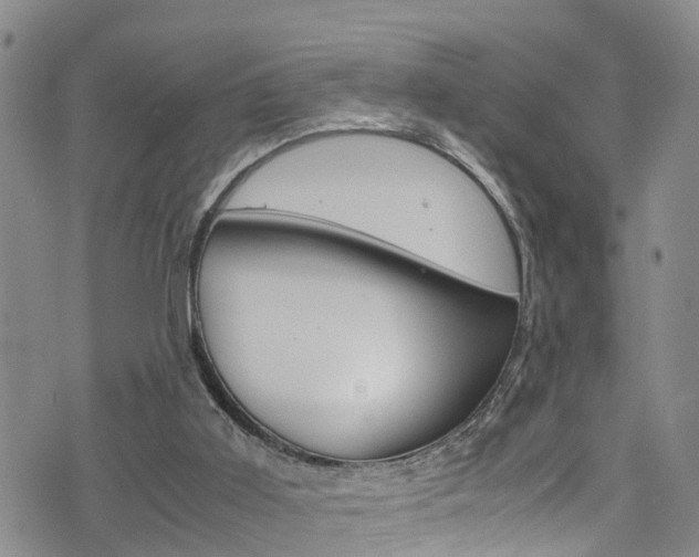 X0000072520011200607140949