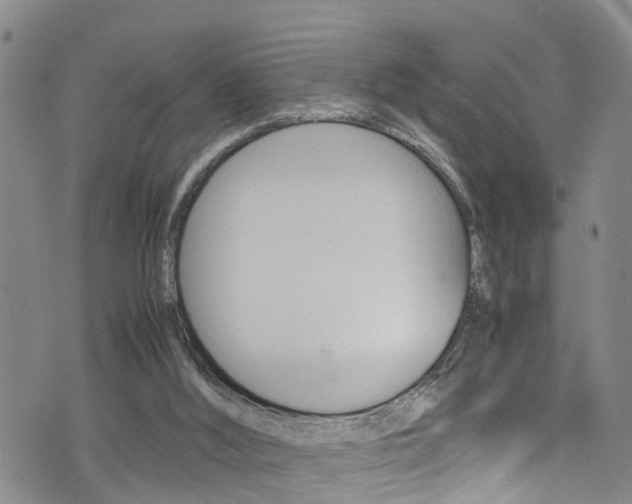 X0000072520012200607140949