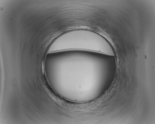 X0000072520013200607140949