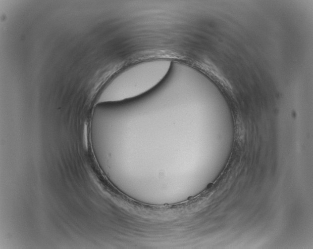 X0000072520014200607140949