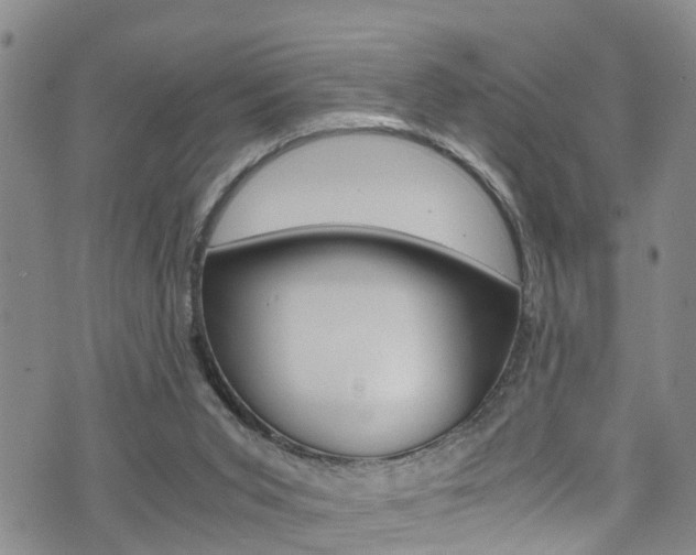 X0000072520015200607140949