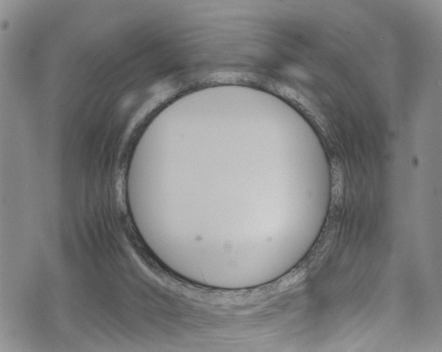 X0000072520016200607140949