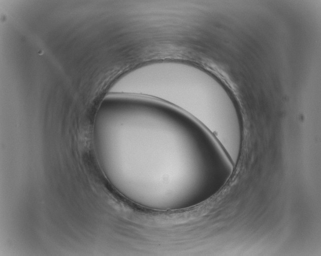 X0000072520017200607140949