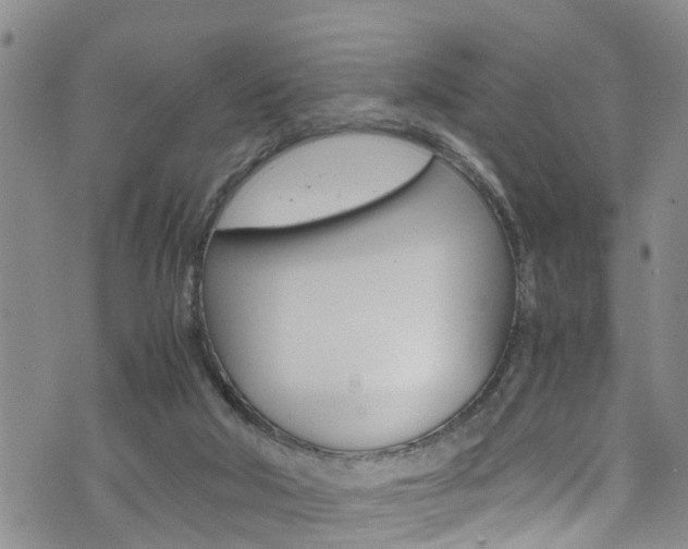 X0000072520018200607140949