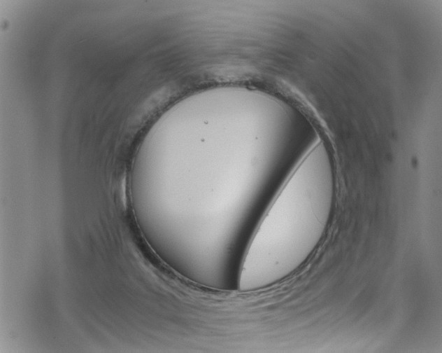 X0000072520019200607140949