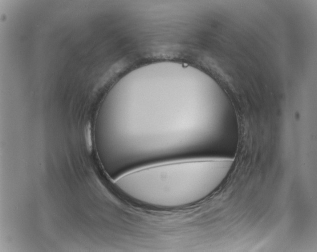 X0000072520020200607140949