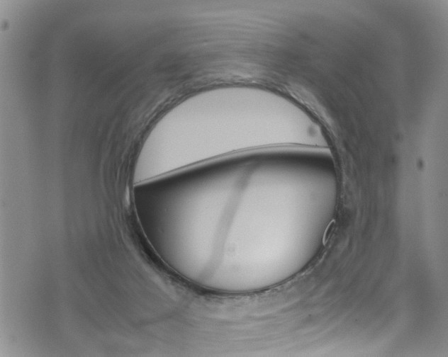 X0000072520021200607140949