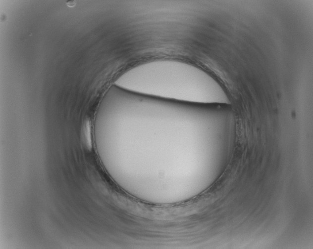 X0000072520022200607140949