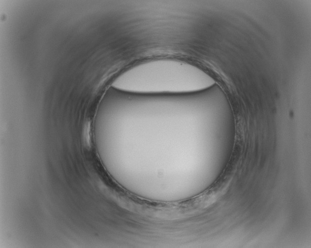 X0000072520024200607140948