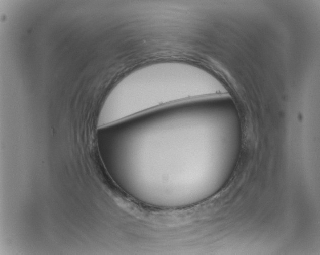 X0000072520025200607140948