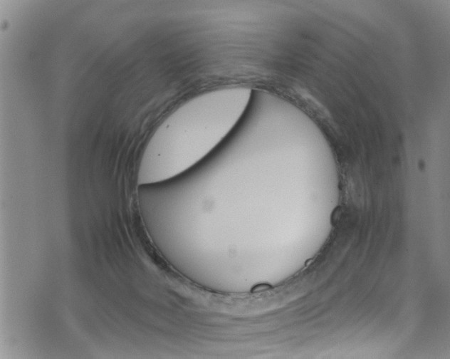 X0000072520026200607140948