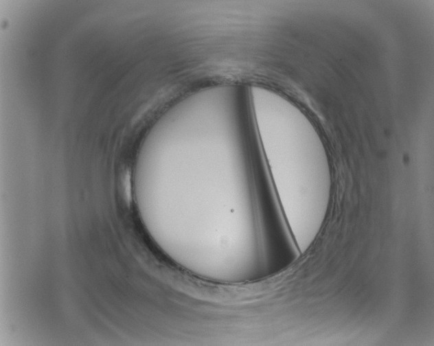 X0000072520027200607140948