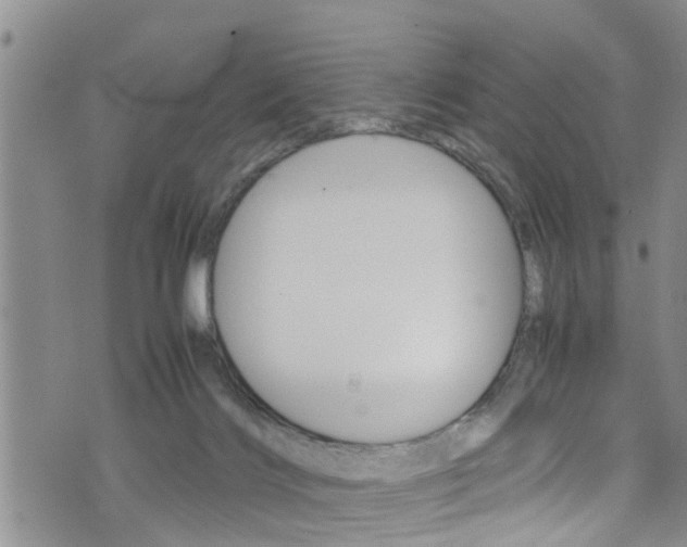 X0000072520028200607140948