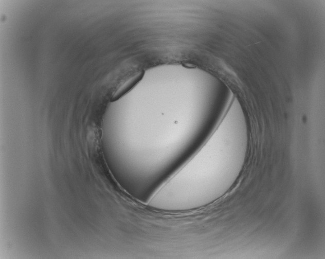 X0000072520029200607140948