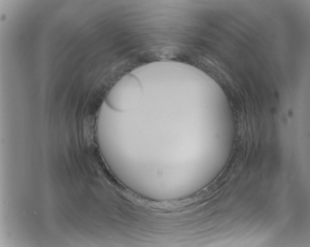 X0000072520030200607140948