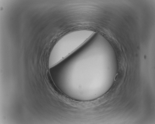 X0000072520031200607140948