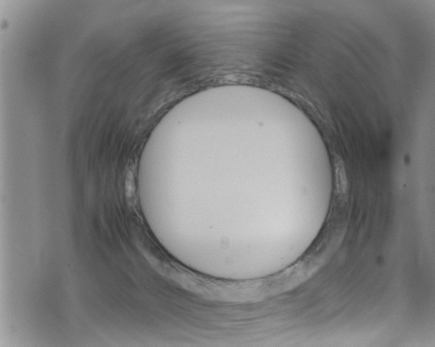 X0000072520032200607140948