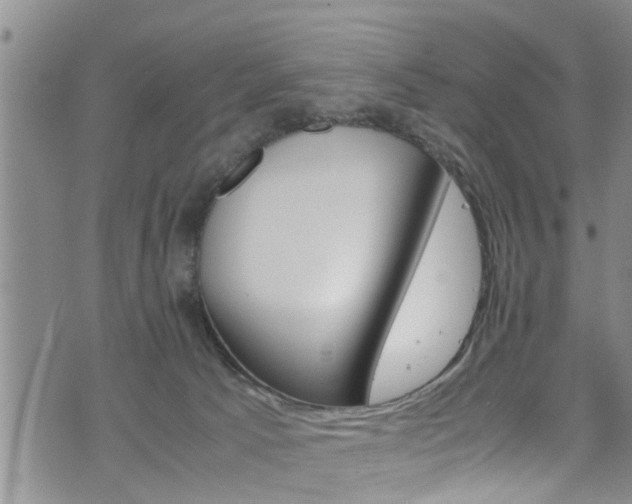 X0000072520033200607140948