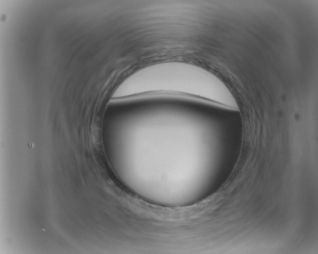 X0000072520035200607140948