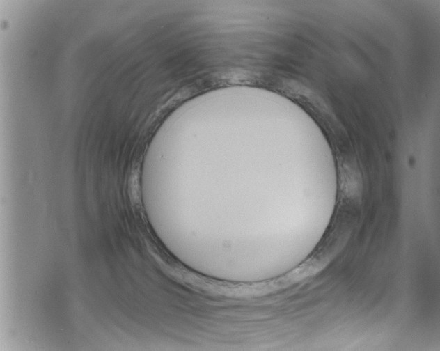 X0000072520036200607140948