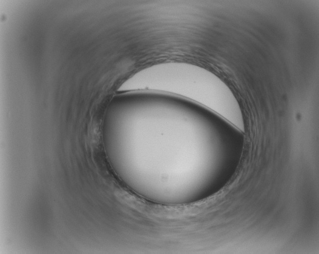 X0000072520037200607140948