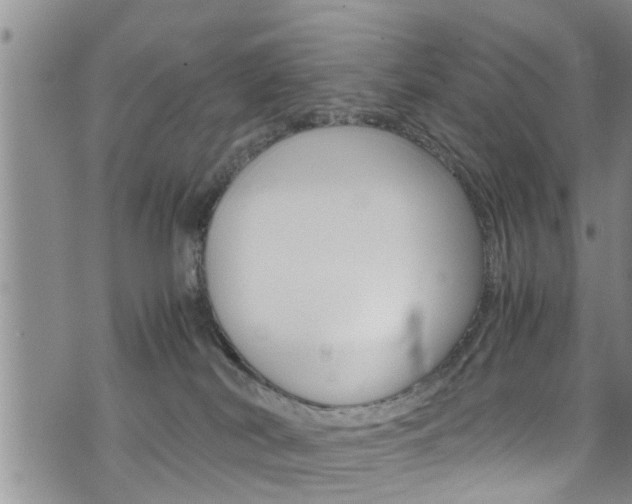 X0000072520038200607140948