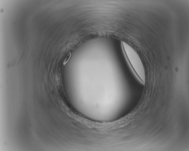 X0000072520039200607140948