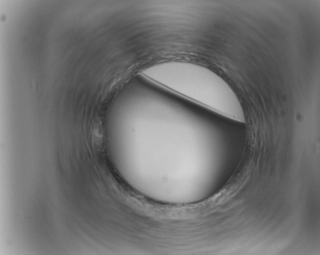 X0000072520040200607140948