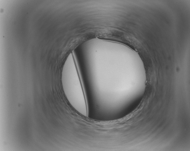 X0000072520041200607140948