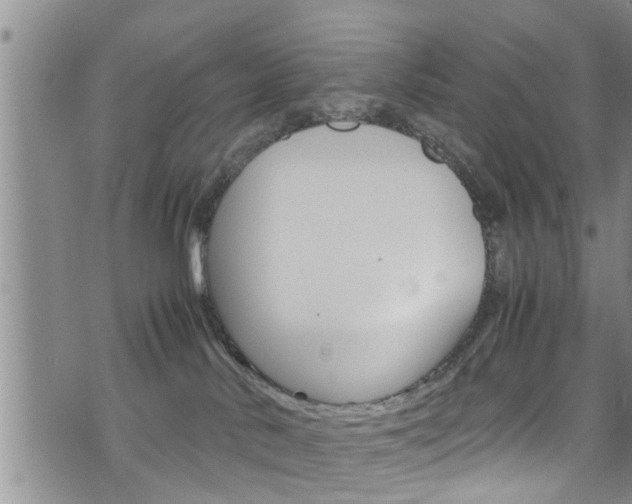 X0000072520042200607140948