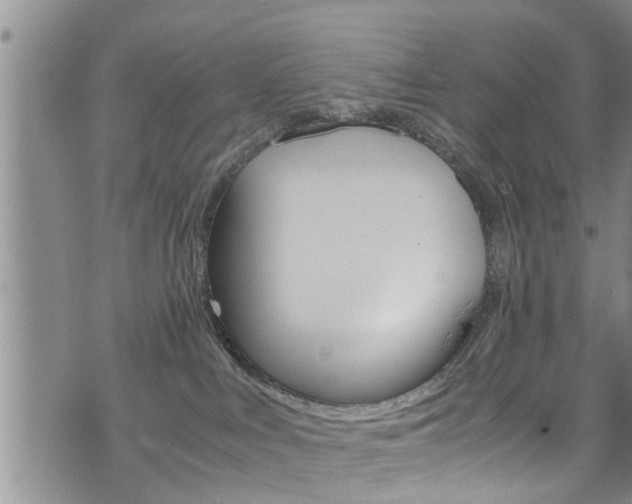 X0000072520043200607140948