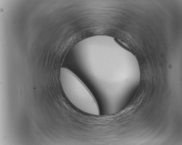 X0000072520044200607140948