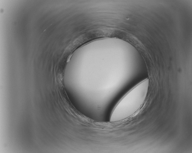 X0000072520045200607140948