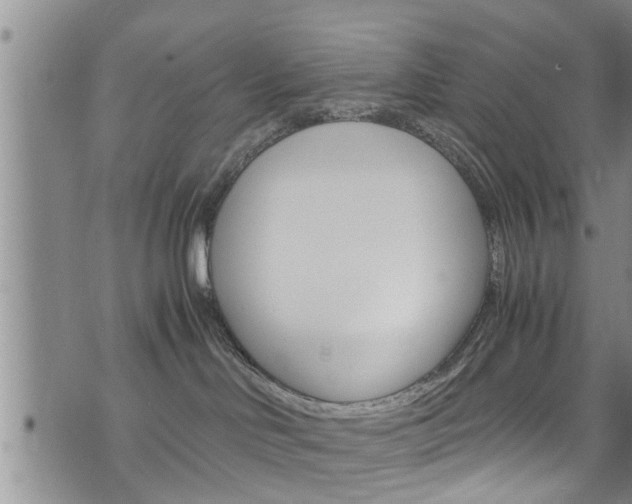 X0000072520046200607140948