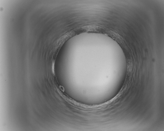 X0000072520047200607140948