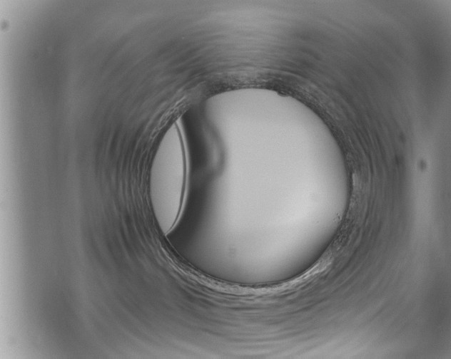 X0000072520048200607140948