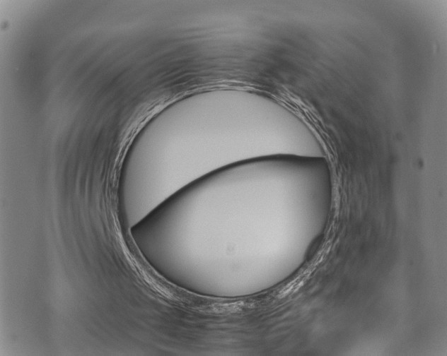 X0000072520049200607140947