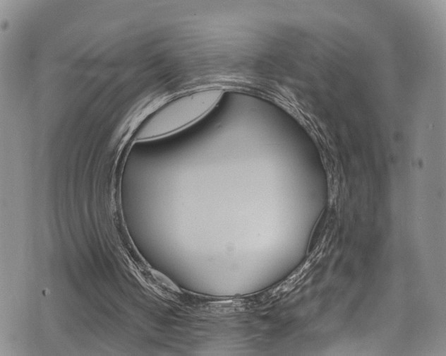 X0000072520050200607140947