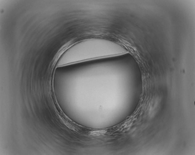 X0000072520051200607140947