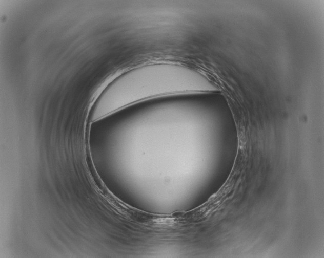 X0000072520052200607140947