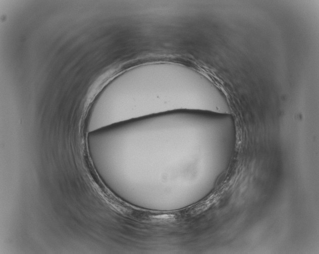 X0000072520053200607140947