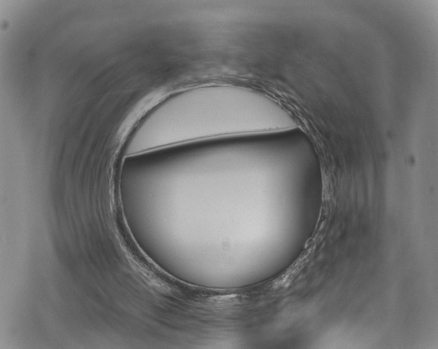 X0000072520054200607140947