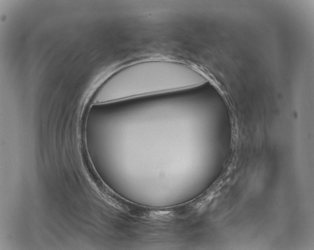 X0000072520055200607140947