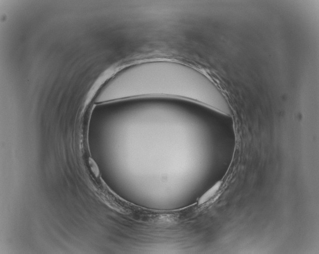 X0000072520056200607140947