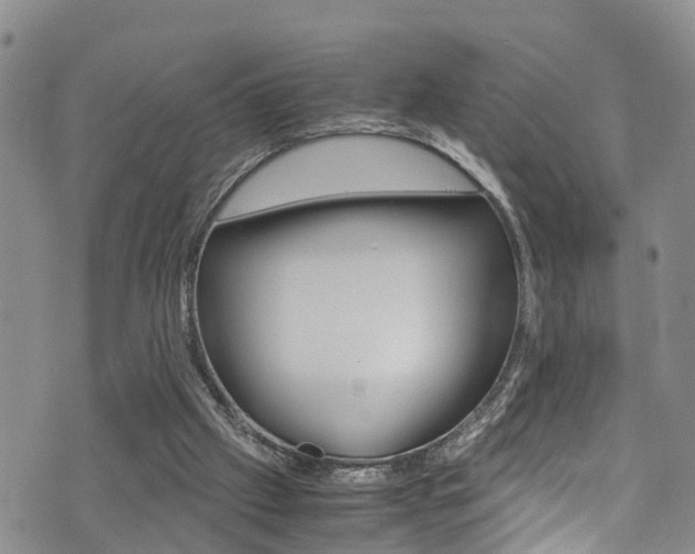 X0000072520057200607140947